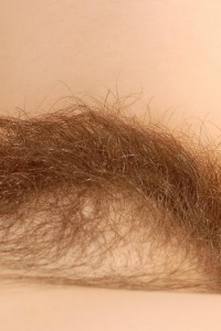 Hairy Babe