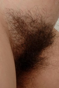 Hairy Babe